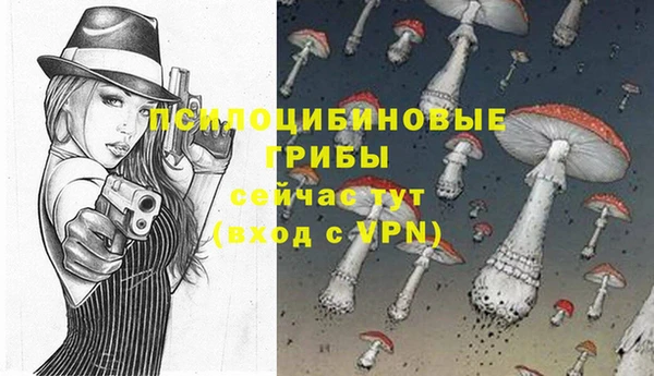 круглые Алексин