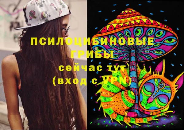 круглые Алексин
