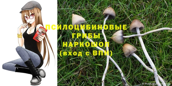 круглые Алексин