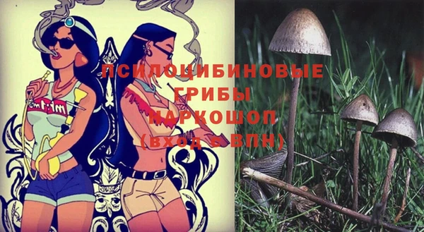 круглые Алексин