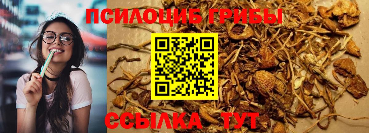 Бирск  Псилоцибиновые грибы мицелий  Вход с VPN 
